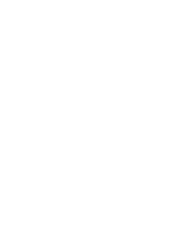 Certified E-Colors® Practitioner